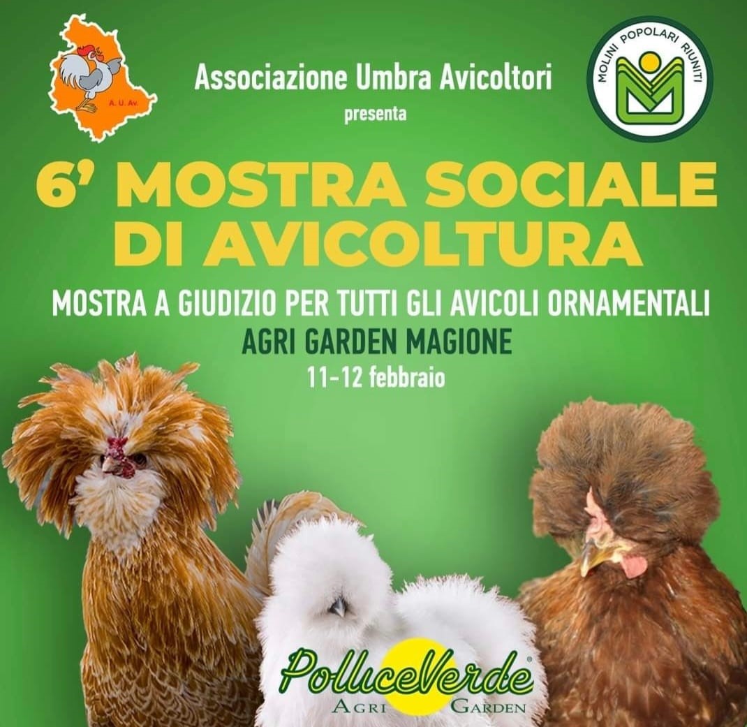 6° Mostra Sociale Umbra di Avicoltura