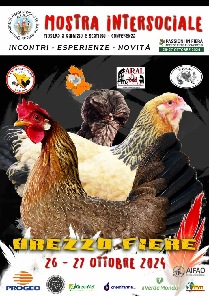 locandina-arezzo-2024-724x1024