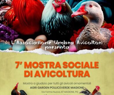 PHOTO-2025-03-15-16-38-37