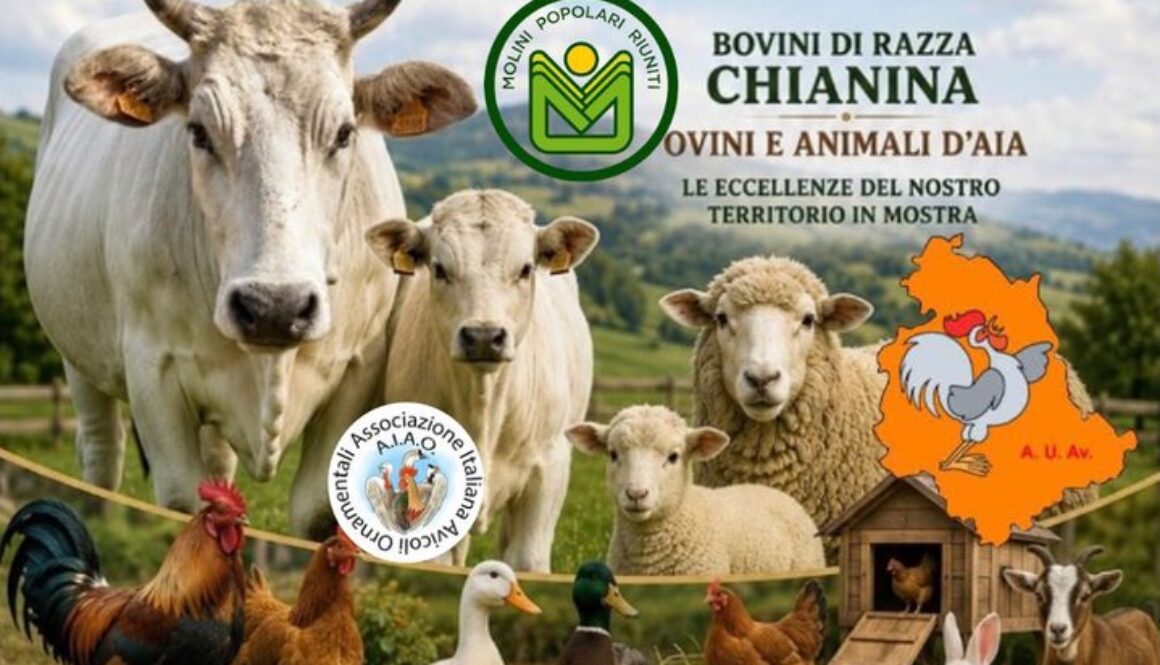 Fiera di San Bartolomeo 22-23 Agosto 2026